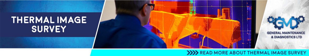 Thermal Image Survey